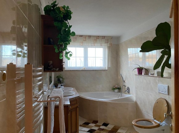 Prodej RD 6+1 v Doubravicích u Českých Budějovic (foto 15)