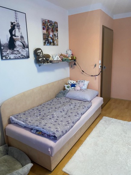 Nová Ves Hůrka u Českých Budějovic (foto 28)