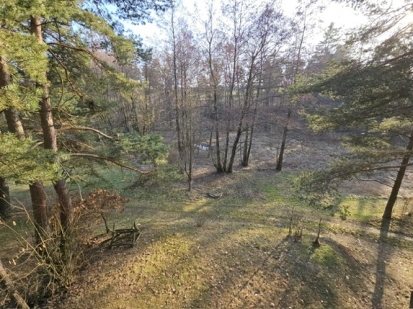 Chata, 3+1, Jackov u Moravských Budějovic (foto 7)